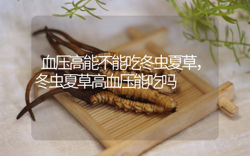 血壓高能不能吃冬蟲夏草，冬蟲夏草高血壓能吃嗎？