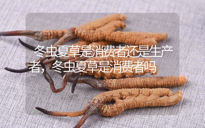 貧血吃冬蟲夏草有效果嗎，貧血虛弱者可以用冬蟲夏草嗎？