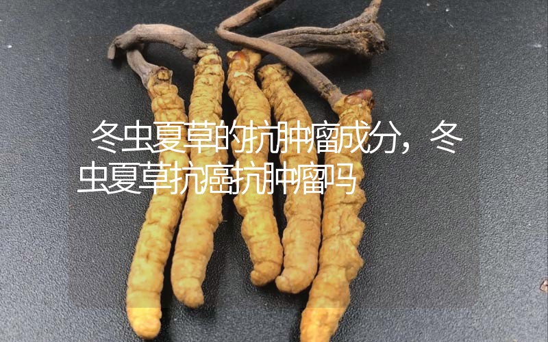 冬蟲夏草的抗腫瘤成分，冬蟲夏草抗癌抗腫瘤嗎？