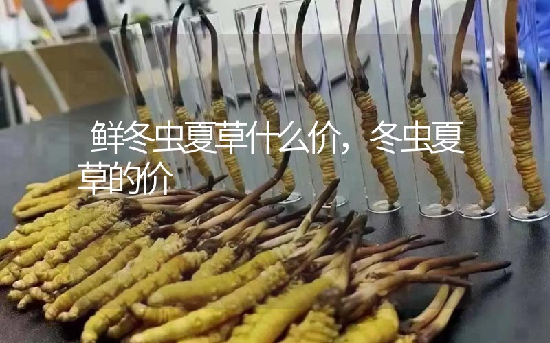 鮮冬蟲夏草什么價(jià)，冬蟲夏草的價(jià)格