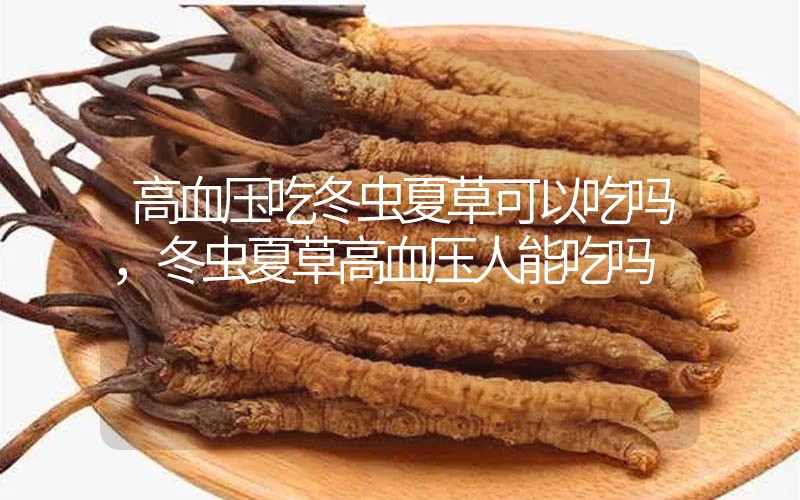 高血壓吃冬蟲夏草可以吃嗎？冬蟲夏草高血壓人能吃嗎？