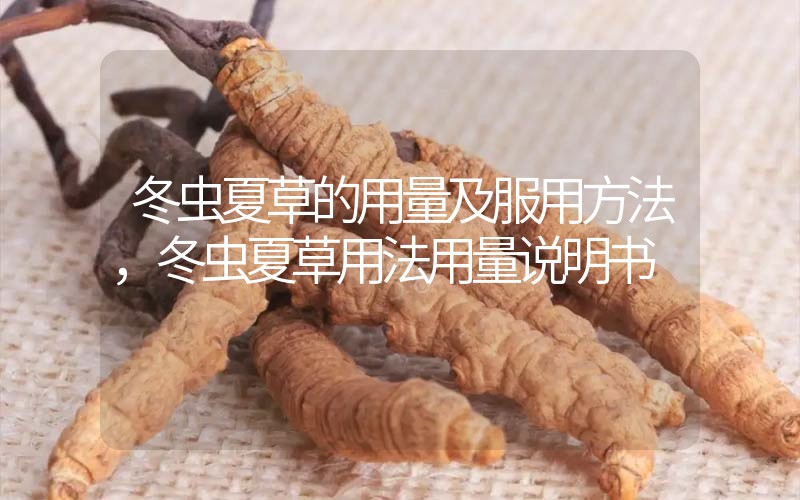 冬蟲夏草的用量及服用方法，冬蟲夏草用法用量