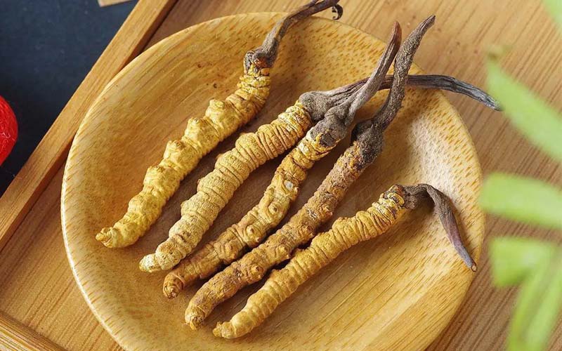 冬蟲夏草作用可以調(diào)節(jié)身體肝臟功能嗎？