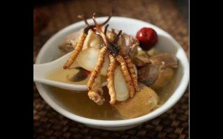 冬蟲(chóng)夏草怎么吃比較好？