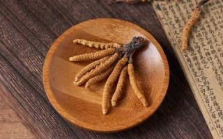 冬蟲(chóng)夏草為何在高海拔地區(qū)才能生長(zhǎng)？