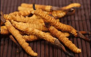 純天然冬蟲夏草西藏那曲源頭直供！