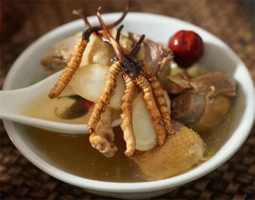 小孩子可以吃冬蟲夏草嗎？