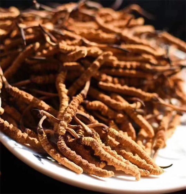 冬蟲夏草和什么一起吃效果好？冬蟲夏草的4種搭配食材