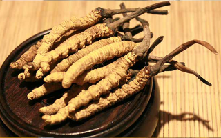 未來(lái)冬蟲(chóng)夏草會(huì)漲價(jià)嗎？