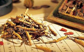 同仁堂健康冬蟲夏草：傳承品質(zhì)，饋贈健康