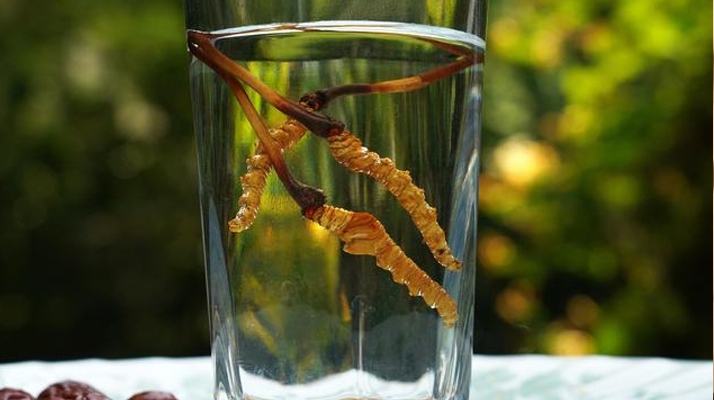 <a href=http://www.sprysprout.com/xinxian/ target=_blank class=infotextkey>鮮冬蟲夏草</a>怎么泡好吃？這些配方讓滋補(bǔ)更有滋味