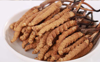 冬蟲(chóng)夏草適合所有人群?jiǎn)?？一文揭?> </div>
            <div   id=