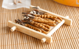 冬蟲夏草一般多少錢一斤？價格背后的價值解析
