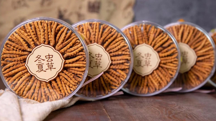 2025年7月冬蟲夏草價(jià)格行情公布！<a href=http://www.sprysprout.com/jiage/ target=_blank class=infotextkey>蟲草價(jià)格</a>降了！