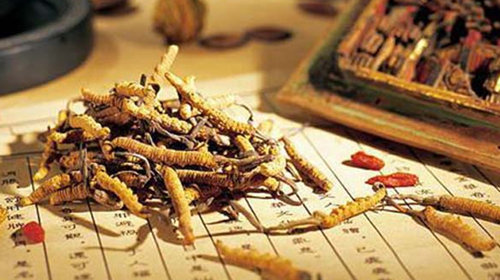 冬蟲夏草是什么長成的？揭秘其獨特的生長歷程
