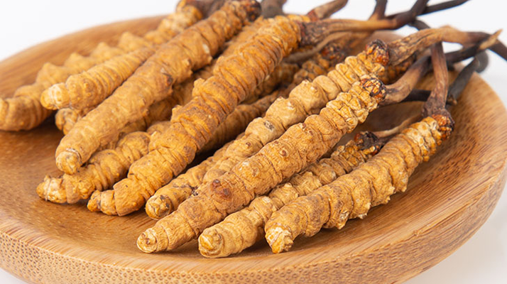 在西藏，冬蟲夏草真的觸手可得？