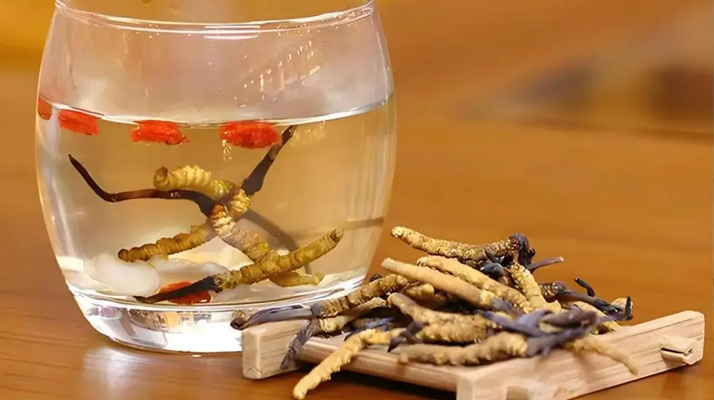 長期喝冬蟲夏草泡水好嗎？科學(xué)分析與飲用指南