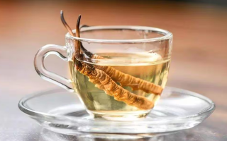 一瓶酒泡多少冬蟲夏草？科學(xué)搭配有講究