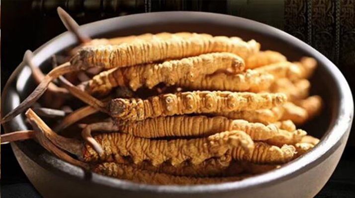 冬蟲夏草效果好不好用？科學(xué)與實(shí)踐視角下的全面解析