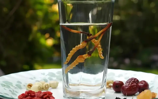 冬蟲夏草能空腹泡水喝嗎？不同人群需區(qū)別對待