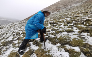 西藏挖冬蟲夏草在什么時(shí)候？產(chǎn)區(qū)與時(shí)間全攻略