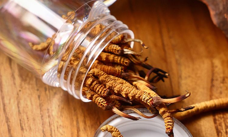 <a href=http://www.sprysprout.com/jiage/ target=_blank class=infotextkey>冬蟲夏草多少錢</a>一條