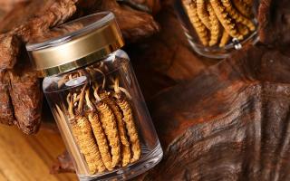 鮮冬蟲夏草泡水后怎么保存？3 種場(chǎng)景保存方法 + 避坑指南