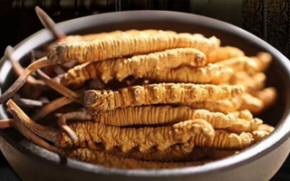 冬蟲夏草掰開后什么樣？從斷面細(xì)節(jié)識(shí)破品質(zhì)與真?zhèn)?> </div>
            <div   id=