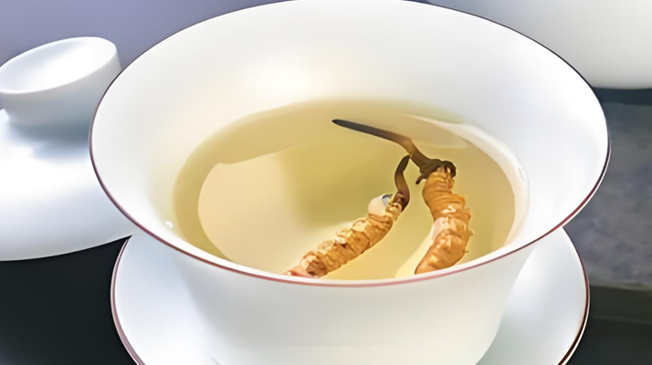 鮮冬蟲(chóng)夏草可以煮水喝嗎？有什么功效和作用？